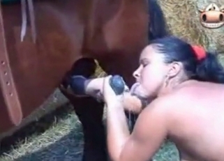 Hardcore fucking with a kinky horse